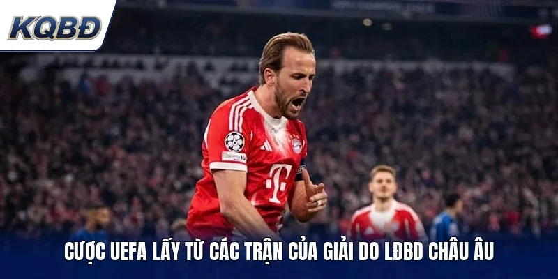 Cược UEFA lấy từ các trận của giải do LĐBD Châu Âu 