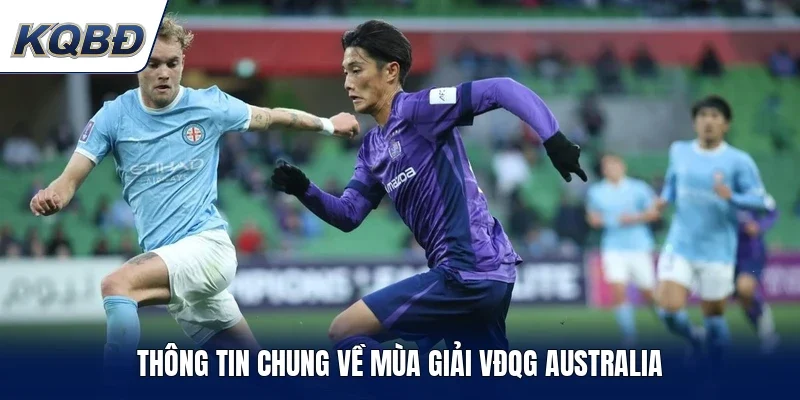 Thông tin chung về mùa giải VĐQG Australia
