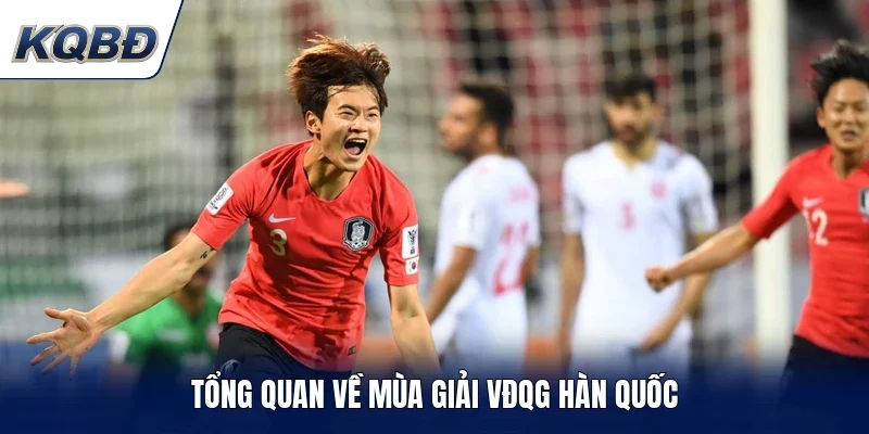 Tổng quan về mùa giải VĐQG Hàn Quốc